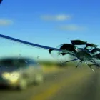 Business 1 image OFFICIAL IRVINE AUTO GLASS Auto Repair Service in Irvine CA