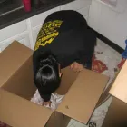 Business 4 image OLYMPUS MOVING & STORAGE Storage Household & Commercial in Brooklyn NY