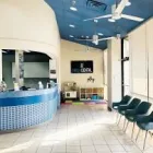 Business 3 image OMEGA DENTAL OF BEDFORD Dentists & Dental Clinics in Bedford TX