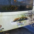 Business 4 image OMG MOBILE AUTO DETAILING in San Jose CA