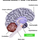 Business 2 image ONLINE PSYCHIATRISTS (MIAMI, FL) Psychotherapy in Miami FL