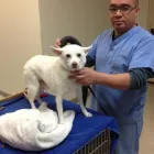 Business 2 image ORANGE CANYON PET CLINIC Veterinary Pharmacies in Orange CA