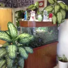 Business 4 image ORANGE CANYON PET CLINIC Veterinary Pharmacies in Orange CA