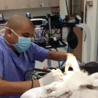 Business 7 image ORANGE CANYON PET CLINIC Veterinary Pharmacies in Orange CA