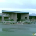 Business 1 image ORANGE GROVE ANIMAL HOSPITAL Veterinary Specialty Services in Tucson AZ