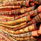 Business 1 image ORIENTAL RUG CARE in New York NY