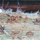 Business 2 image ORIENTAL RUGS SPECIALIST Carpet & Rug Cleaners in Irvine CA