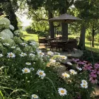 Business 1 image OUTDOOR SPACES Water Features in Louisville KY