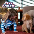 Business 8 image OXI FRESH CARPET CLEANING Upholstery Cleaning Service in Albany CA