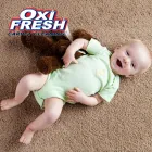 Business 2 image OXI FRESH CARPET CLEANING Carpet & Upholstery Cleaning in Toledo OH