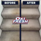 Business 7 image OXI FRESH CARPET CLEANING Carpet & Upholstery Cleaning in Toledo OH