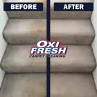 Business 8 image OXI FRESH CARPET CLEANING Cleaning Services in Evansville IN