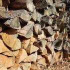 Business 4 image P&L TREE SERVICE Tree Trimming Service in Indianapolis IN