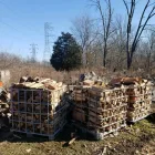 Business 6 image P&L TREE SERVICE Tree Trimming Service in Indianapolis IN