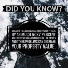 Business 11 image P&L TREE SERVICE Tree Trimming Service in Indianapolis IN