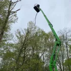 Business 13 image P&L TREE SERVICE Tree Trimming Service in Indianapolis IN