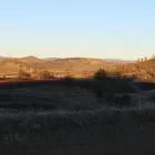 Business 10 image PALATE CLUB Wine Tasting in San Francisco CA