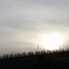 Business 2 image PALATE CLUB Wine Tasting in San Francisco CA