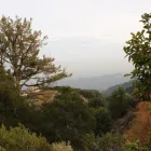 Business 4 image PALATE CLUB Wine Tasting in San Francisco CA