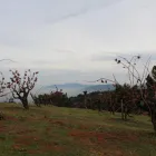 Business 5 image PALATE CLUB Wine Tasting in San Francisco CA