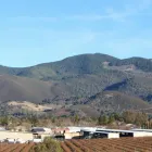 Business 6 image PALATE CLUB Wine Tasting in San Francisco CA