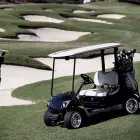 Business 1 image PALM BEACH GOLF CARS in Delray Beach FL