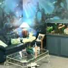 Business 2 image PALM BEACH ORTHODONTICS INC. - CARROL ANN FENN DDS Orthodontists in West Palm Beach FL