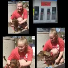 Business 15 image PAMPER YOUR POOCH SELF SERVICE PET & CARWASH in Saint Louis MO