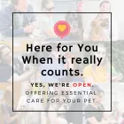 Business 3 image PANTANO ANIMAL CLINIC, PC in Tucson AZ