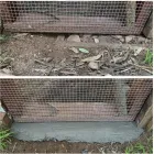 Business 2 image PANTHEON PEST SERVICES Termite Control Service in San Diego CA