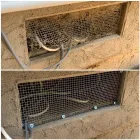 Business 4 image PANTHEON PEST SERVICES Termite Control Service in San Diego CA
