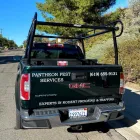 Business 6 image PANTHEON PEST SERVICES Termite Control Service in San Diego CA