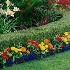 Business 1 image PARADISE LAWN & MAINTENANCE Lawn Maintenance in Garden Ridge TX