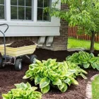 Business 2 image PARADISE LAWN & MAINTENANCE Lawn Maintenance in Garden Ridge TX