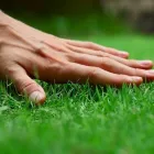 Business 5 image PARADISE LAWN & MAINTENANCE Lawn Maintenance in Garden Ridge TX