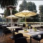 Business 1 image PARAGON BERKELEY Restaurants in Berkeley CA