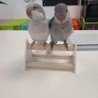 Business 1 image PARROT TREEHOUSE Parakeet Supplies in Bedford TX