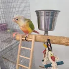 Business 7 image PARROT TREEHOUSE Parakeet Supplies in Bedford TX
