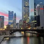 Business 1 image PARTNER DIGITAL AGENCY Advertising Agencies in Chicago IL