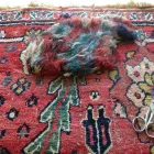 Business 7 image PASSION OF PERSIA Oriental Goods in Scottsdale AZ