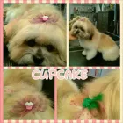 Business 8 image PAWSH BOUTIQUE Pet Grooming in Euless TX