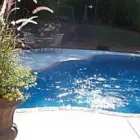 Business 2 image PEACHTREE POOLS Swimming Pool Contractors in North Augusta SC