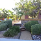 Business 31 image PEBBLE STONE COATINGS Deck & Patio Builders in Las Vegas NV