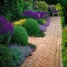 Business 3 image PECK INC. Landscaping in Tucson AZ