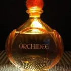 Business 23 image PERFUME PARADISE Fragrance Stores in Richmond VA