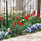 Business 3 image PERSONAL TOUCH LANDSCAPE & GARDENING Landscaping & Lawn Services in Colorado Springs CO