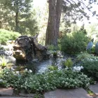 Business 1 image PERSONAL TOUCH LANDSCAPE & GARDENING Landscaping & Lawn Services in Colorado Springs CO