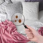 Business 1 image PEST CONTROL in Houston TX