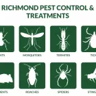 Business 3 image PEST SOLUTIONS, INC. in Richmond VA