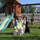 Business 4 image PET BUTLER in Merriam KS